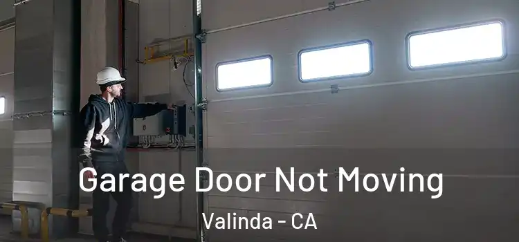  Garage Door Not Moving Valinda - CA