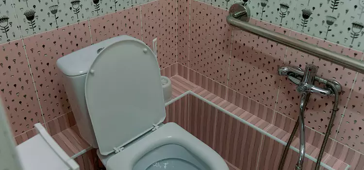 Meeting Diverse Needs With Accessible Restroom Solutions in Valinda, CA
