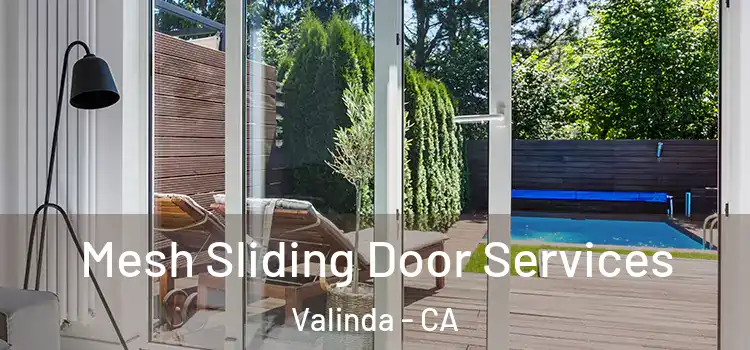 Mesh Sliding Door Services Valinda - CA